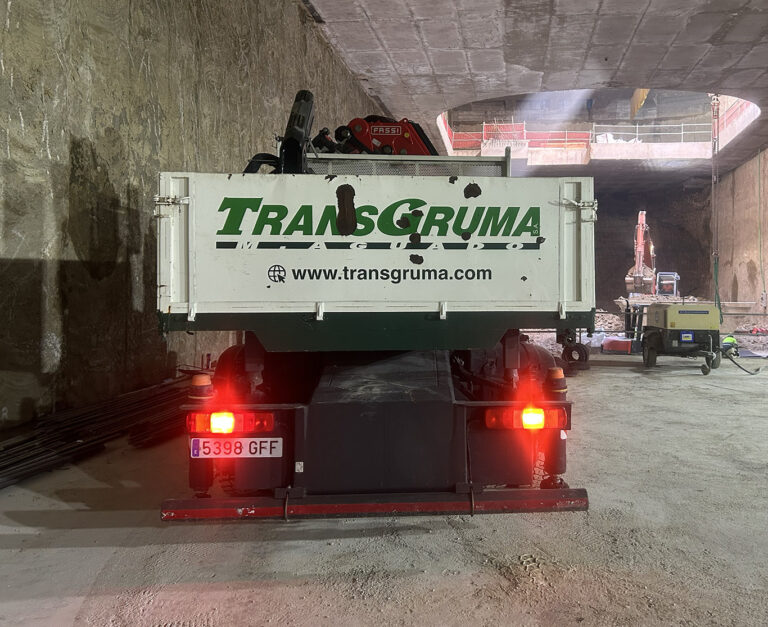 camion grua en venta Trasera